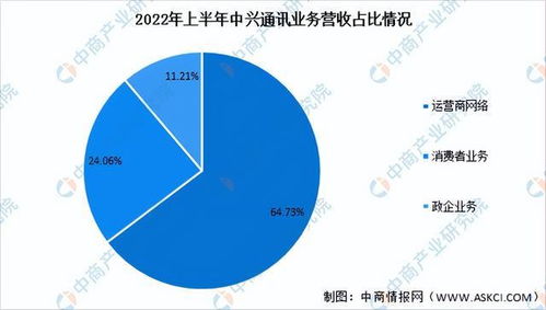 2022年中国通信设备行业市场前景及投资研究报告（简版） 聚焦信息系统集成服务